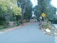PB252308.JPG Photo