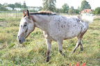 d364fdf12445.jpg