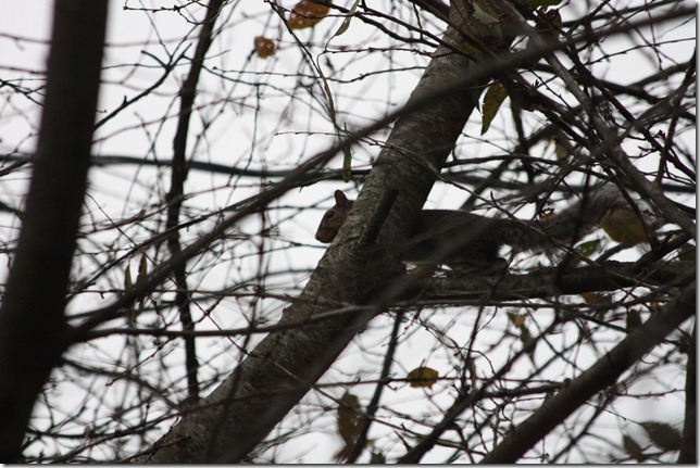 IMG_7064 IMG_7064