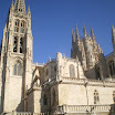 IMGP2194.JPG