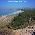 C. RANDISI