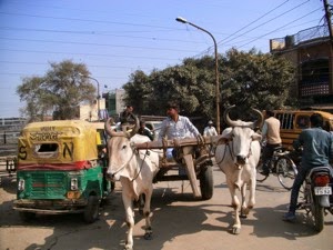 Ox Cart