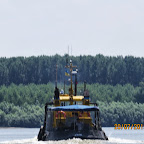 IMG_4248.JPG