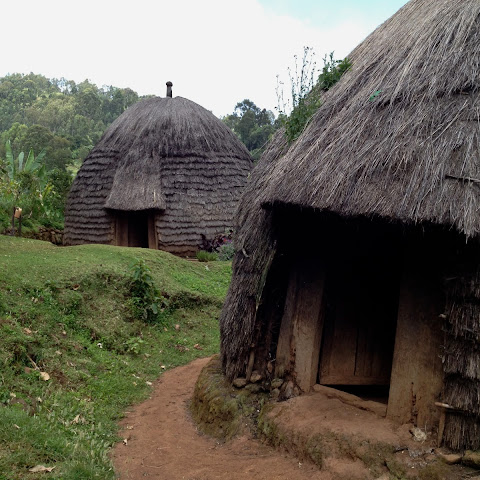 Thatched houses in the Ethiopian highlands
