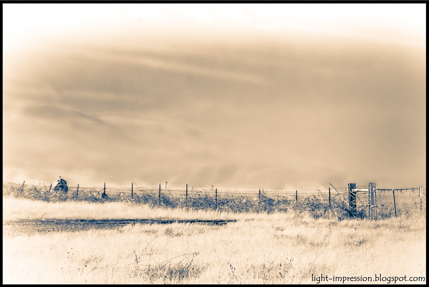 Light Impressions-Grapevine California-2