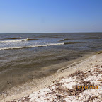 IMG_5672.JPG