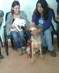 ARTEMIO llego tu dia de ser mucho mas feliz de lo que eres con tus nuevos papas y tu hermanita, sabemos que seras feliz y muy querido.