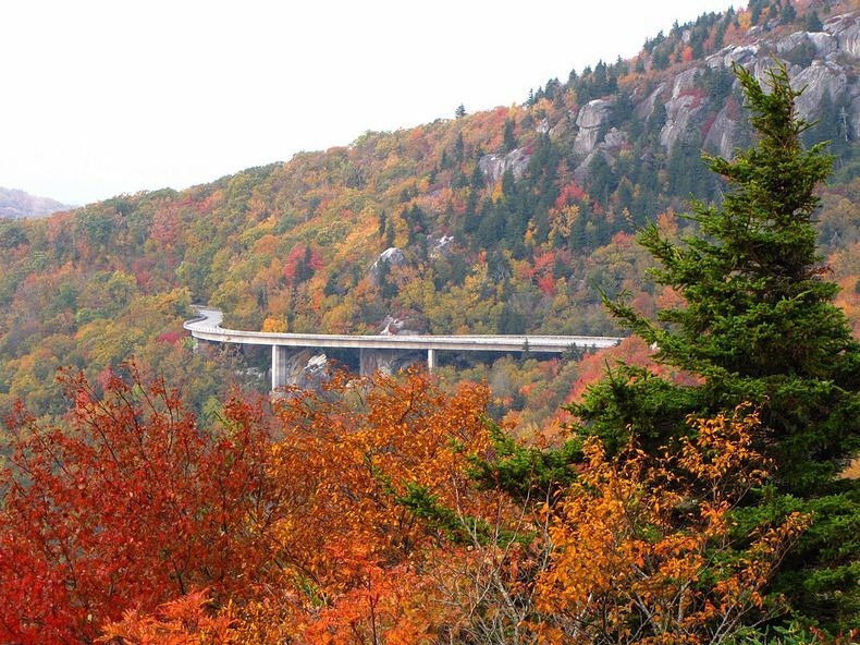 linn-cove-viaduct-7