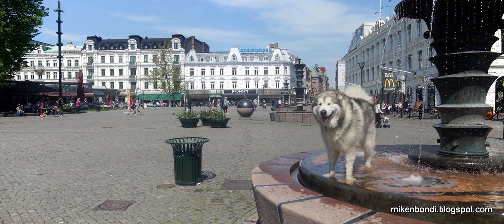 [Gustav%2520Adolf%2520Torget%2520fountains%2520%25281%2529%255B5%255D.jpg]