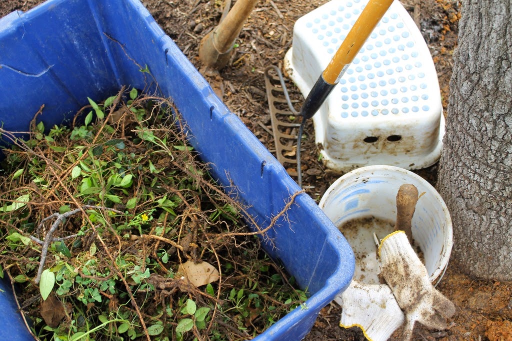 [French%2520drain%2520007%255B4%255D.jpg]