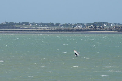 SONY DSC