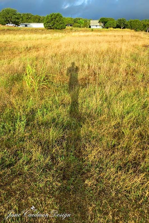 [Shadow%255B3%255D.jpg]
