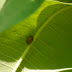 P1090371