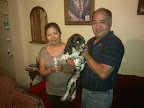 PRYSI  llegando a casa felizmente adoptada