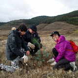 Reforestación 2010