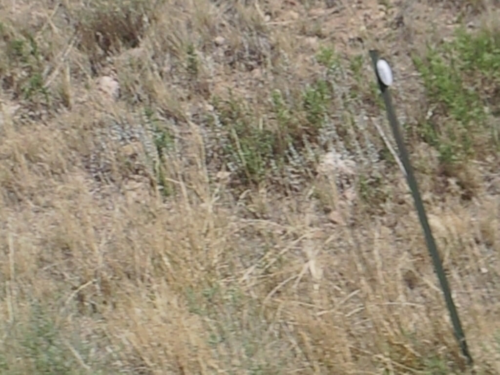 [recumbent%255B1%255D.png]