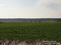 dsc07333.jpg