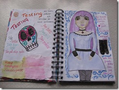 Bloggbilder 025