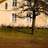 Kinnekulle 2009 : 2