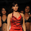 samantha (2).jpg