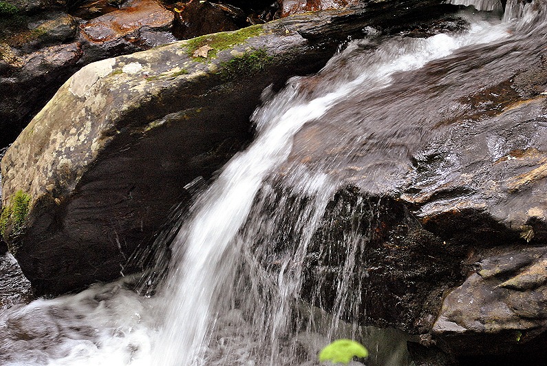 [25e---Anna-Ruby-Falls-Trail---Rusing%255B2%255D.jpg]