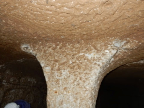 DSCN4119.jpg DSCN4119
