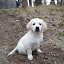 IMAGE_F1158F2A-0BF4-41C2-B589-EFBB45AE51F3.JPG