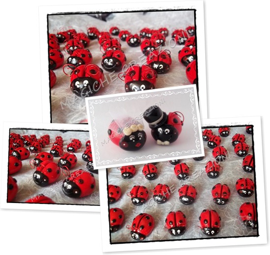 Visualizza COCCINELLE