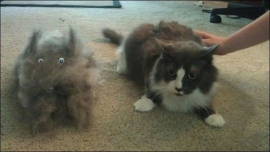 [viral-picdump-pics-3d4f9d%255B2%255D.jpg]