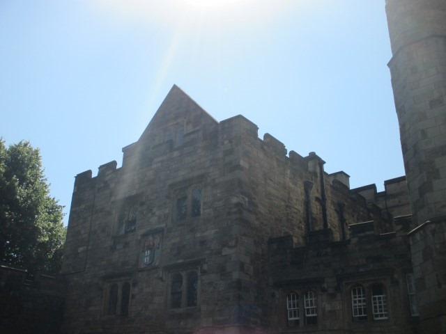 20140724 (13) (Small) 20140724 (13) (Small)