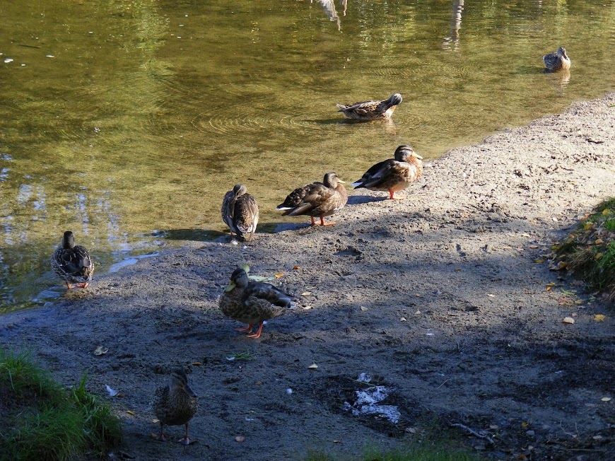 DSCF6422.JPG