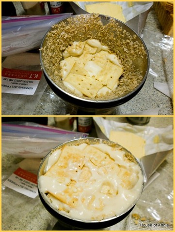 [Assembling%2520No%2520Bake%2520Cheesecake%255B2%255D.jpg]