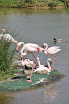 DSC_0238-1.JPG