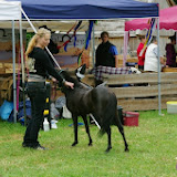 IMGP1048.JPG