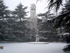 Lycée Livet