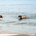 20100826_017_small.JPG