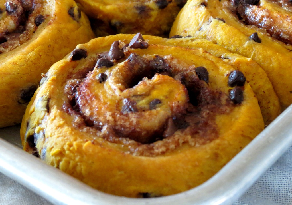 [Pumpkin%2520Chocolate%2520Chip%2520Cinnamon%2520Rolls%255B4%255D.jpg]