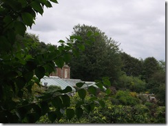August 2011 149