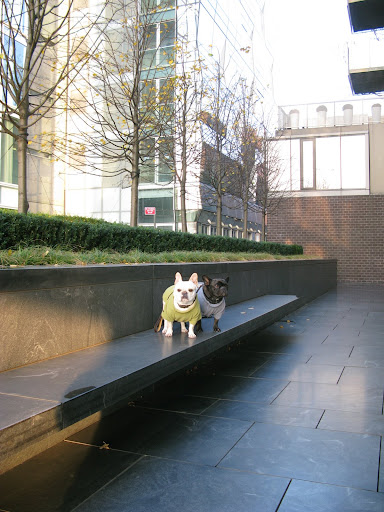 There are really long stone benches which are so much fun to run on.  Good thing no one was around wanting to sit on them.