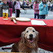 Maibaum_Rückgabefest_2012-79.jpg