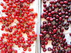 Sour and sweet cherries Sour and sweet cherries