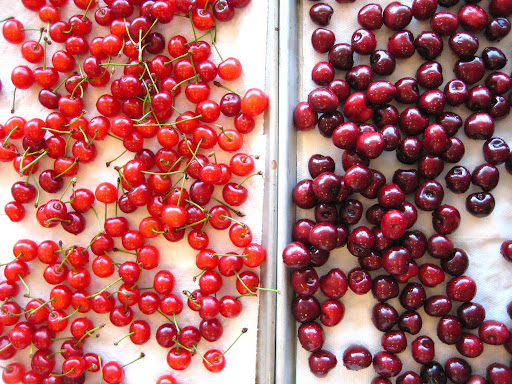 Sour and sweet cherries Sour and sweet cherries