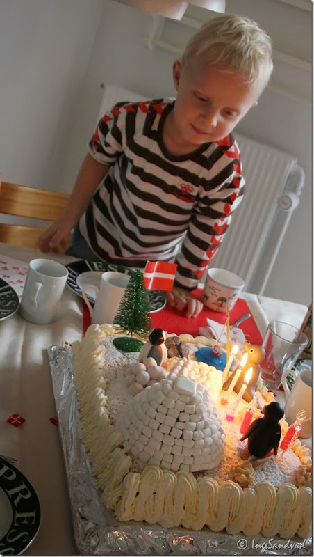 IMG_5342 IMG_5342