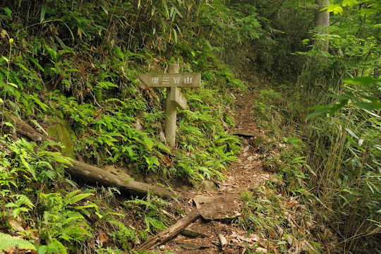 奥三界岳登山道との分岐