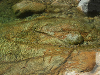 WongLungStream-6834-2.jpg Photo