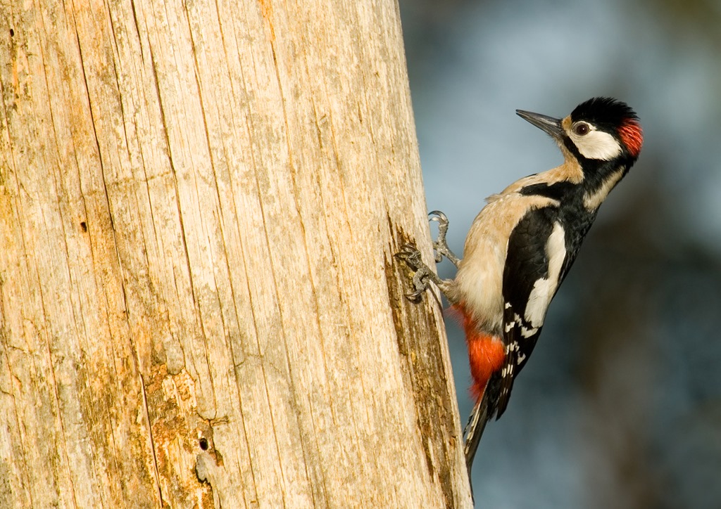 [5605434967_a843659916_o%255B12%255D.jpg]