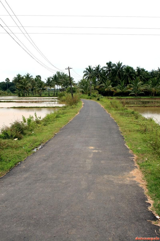 Trip to palakkad (KERALA, INDIA)