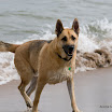 Lake Huron-86.jpg