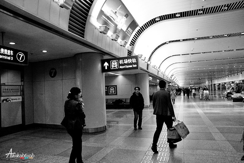 DSC02495 DSC02495