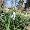 dsc07437.jpg